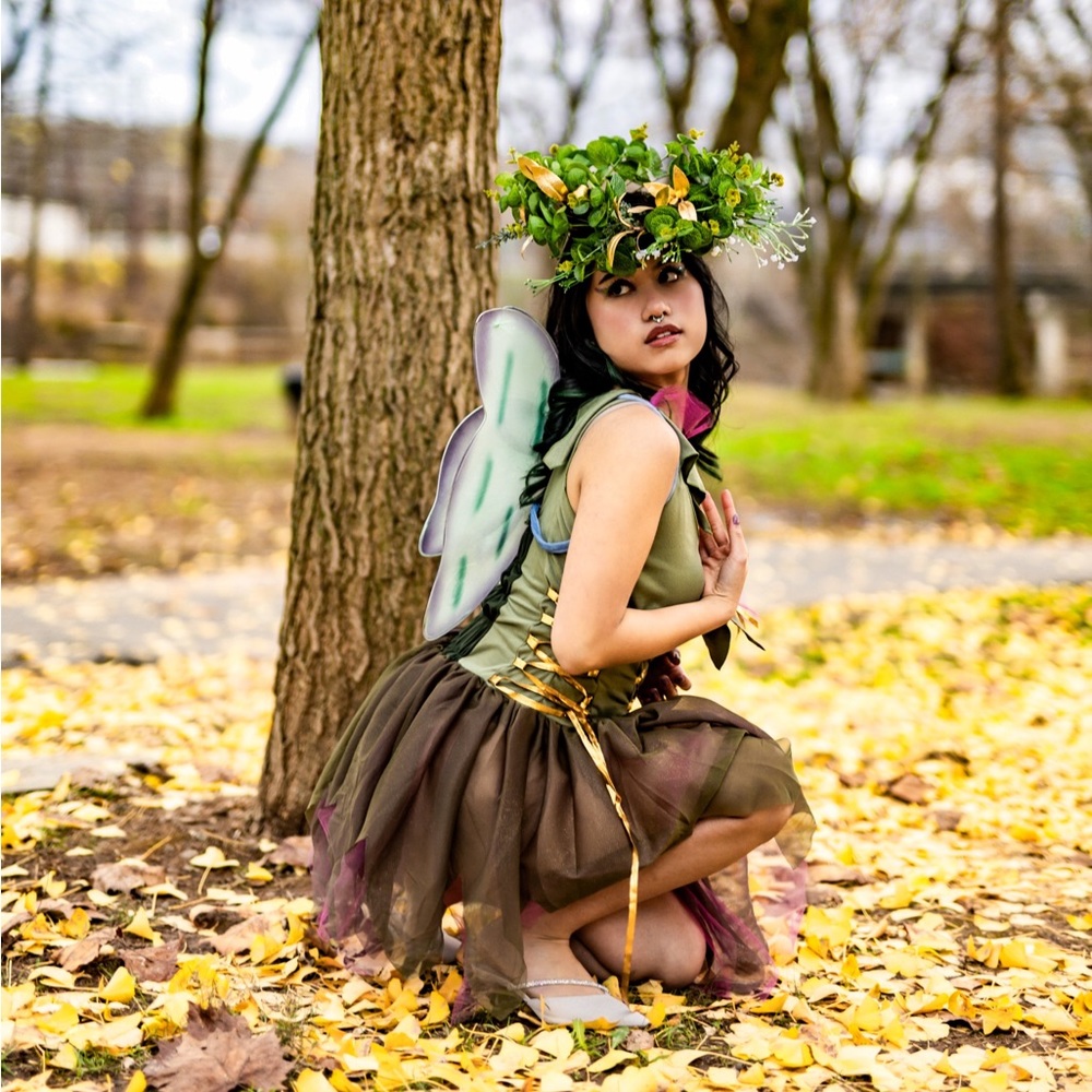 Fantasy Tinkerbell Fairy Tulle dress with Wings